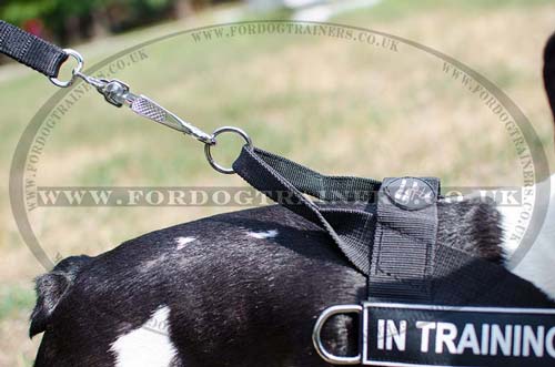 French Bulldog Harness UK Bestseller