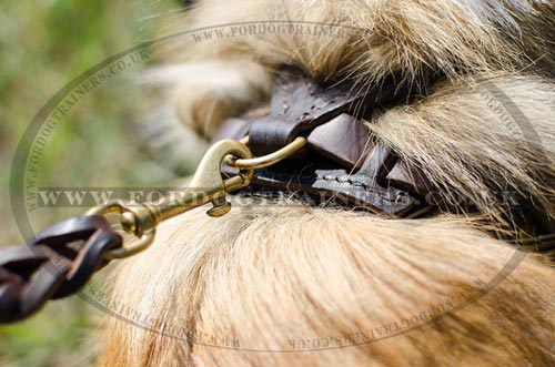 Harness for Shetland Sheepdogs for Sale