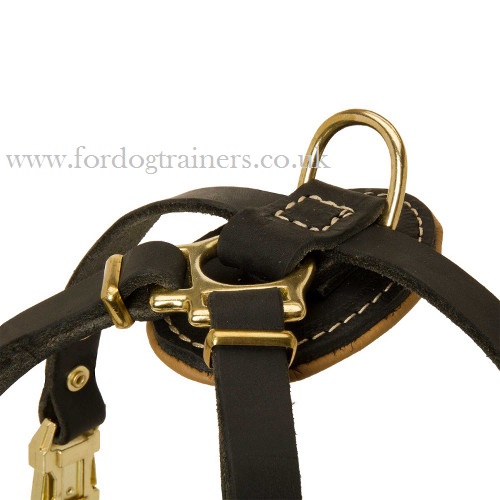 Padded Dog Harness for Small Breeds