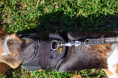 Dog harness with handle