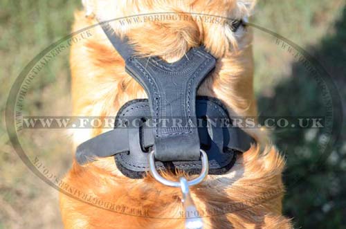 Soft dog harness