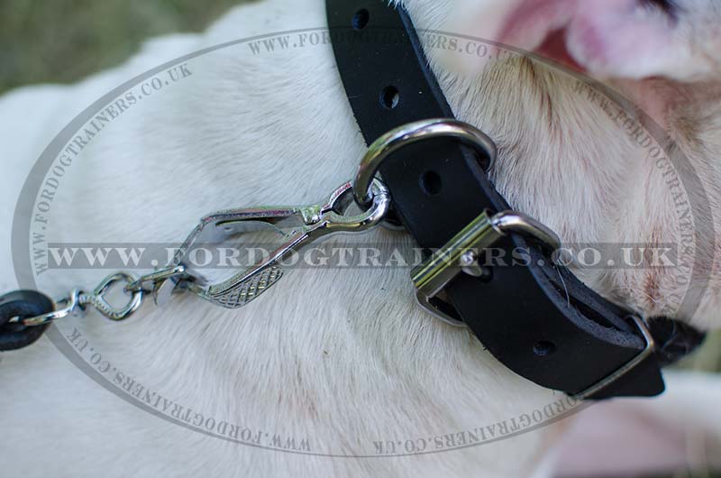 British Bull Terrier Collars Soft Padded Padded Dog Collars UK