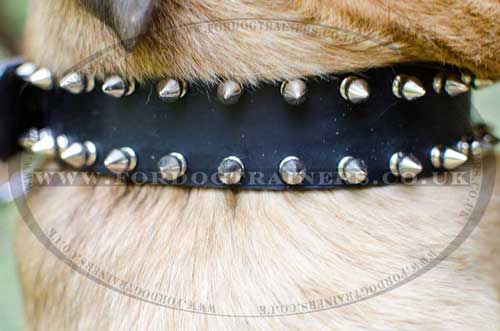 Spiked dog collar