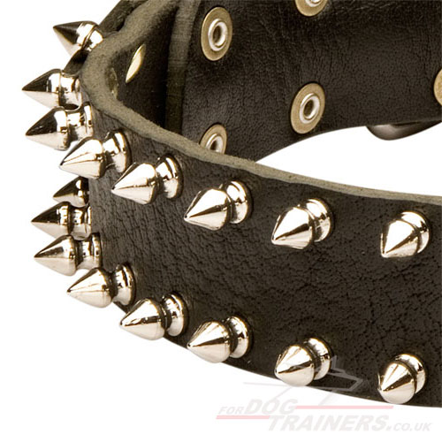 Spiked Leather Dog Collar