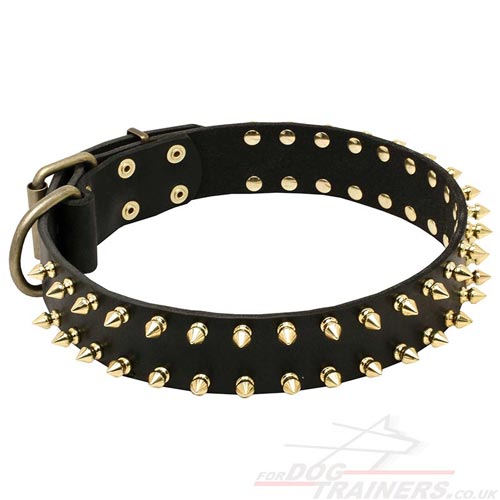 Spiked dog collar