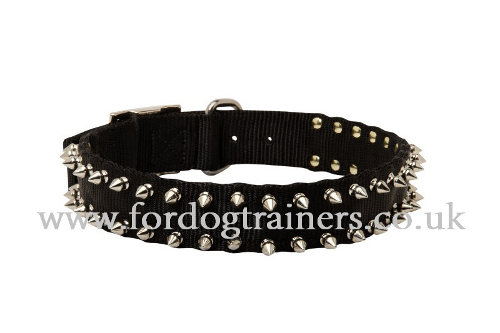 Adjustable Dog Collar with Spiked Design