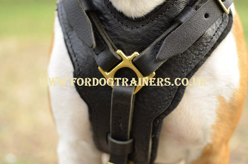 Staffy harness bestseller UK