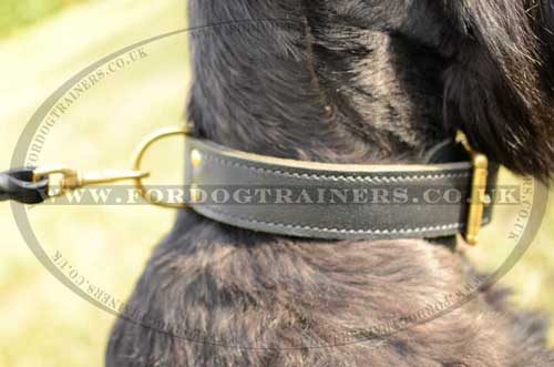 leather dog collar