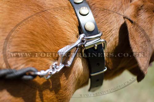 Dog necklace collar