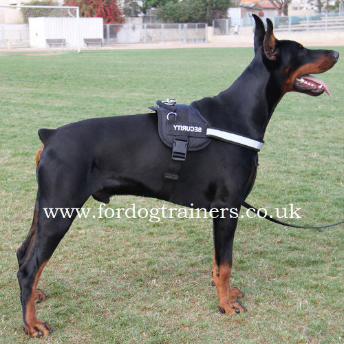 Nylon dog harness for Doberman