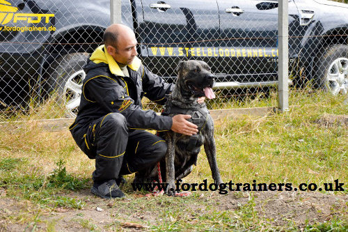 Strong Dog Harness for Schutzhund