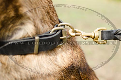 Studded Dog Collar for Belgian Shepherd Malinois