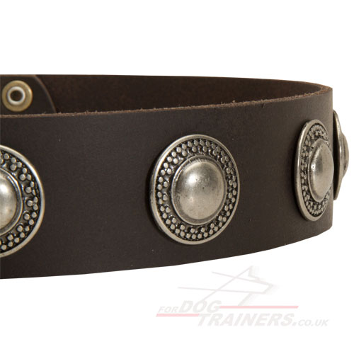 dog leather collar