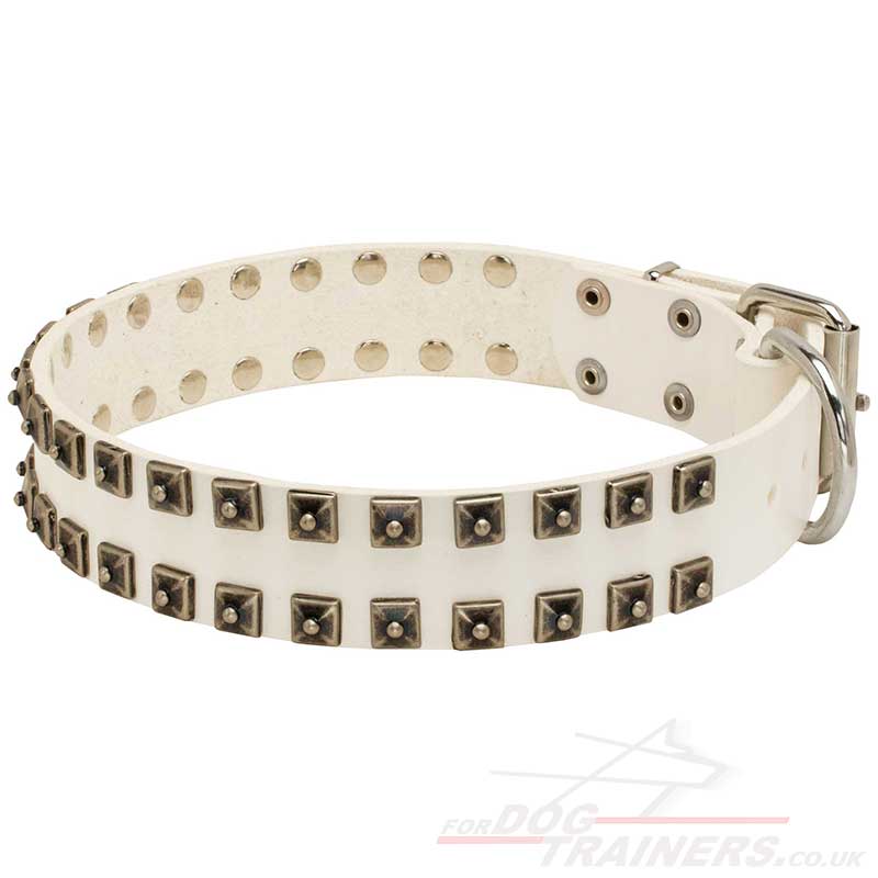 Studded Dog Collars White Leather White Dog Collar UK