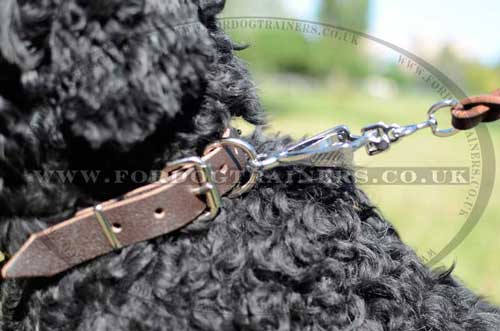 Leather dog collar