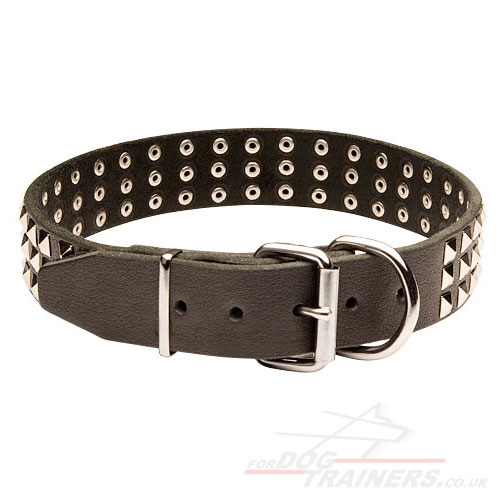 Genuine Leather Dog Collar for Dogue De Bordeaux
