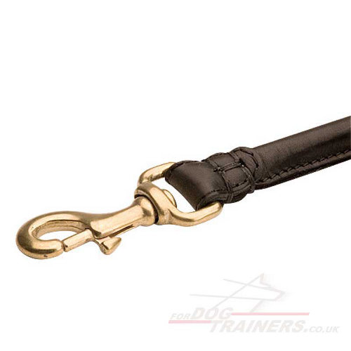 Leather dog lead