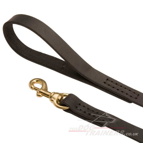 Long leather dog lead