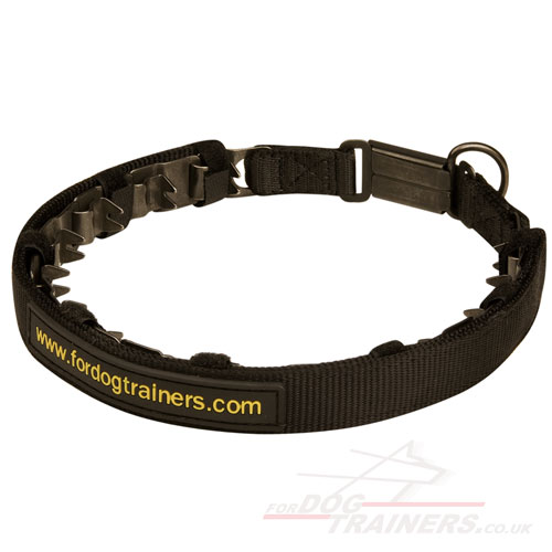 pinch dog collar