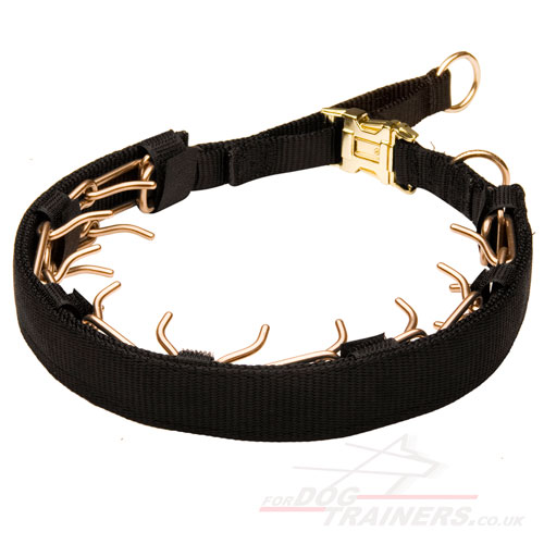 Sprenger Dog Collar