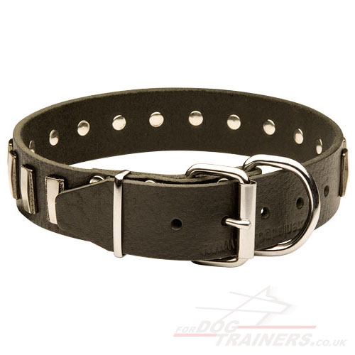 handmade leather dog collar