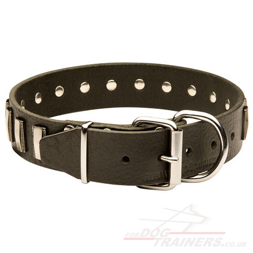 leather dog collars