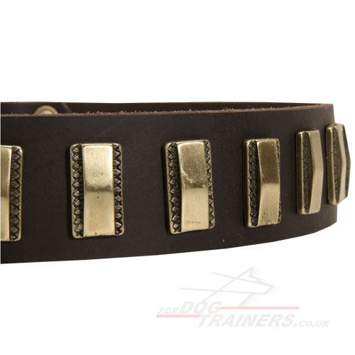 Cool Dog Collars for Boxer Dog for Sale UK