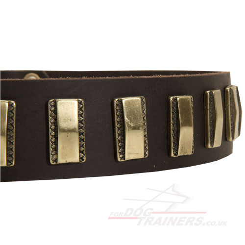 Leather dog collars