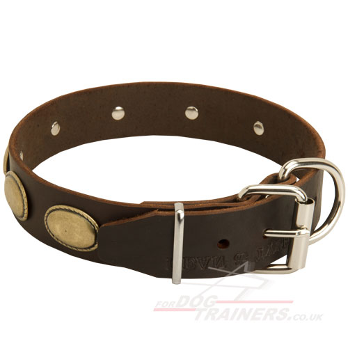 Designer dog collar