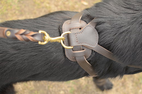 Pulling harness for german shepherd training