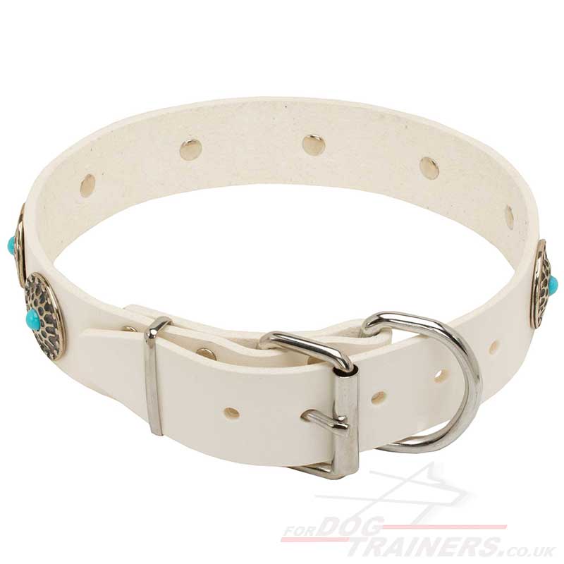 Luxury Dog Collars Studded Design White Dog Collar UK