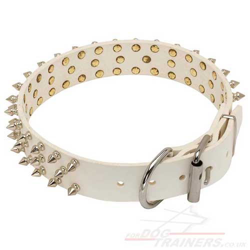 Amstaff Collars UK Limited Edition