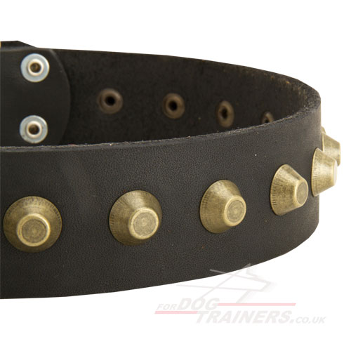 Wide Dog Collar