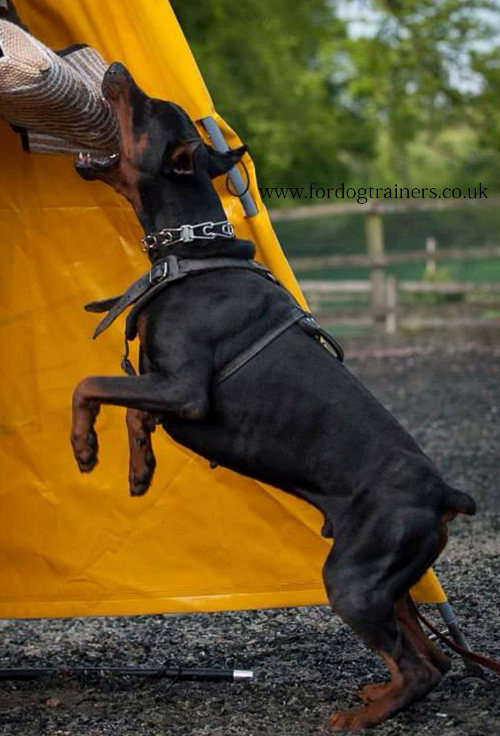 Leather Dog Agitation Harness