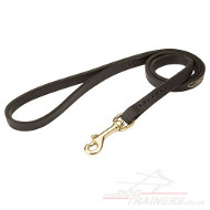 leather dog lead