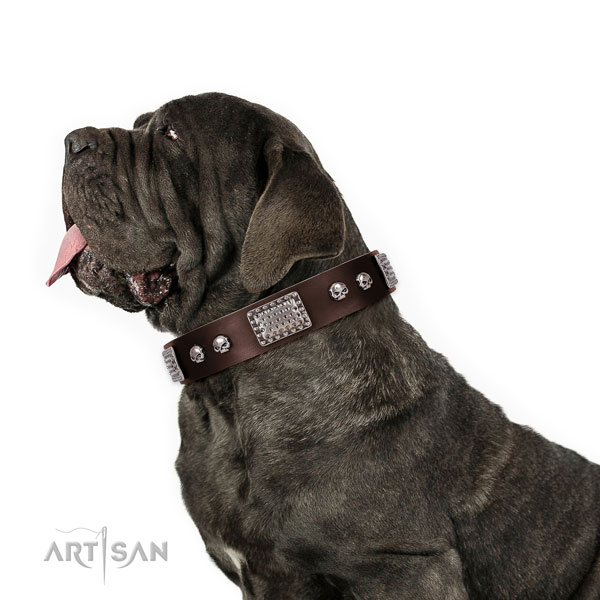 Brown Leather Dog Collars for Big Dogs