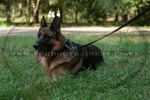 Dog Leather Leash for German Shepherds