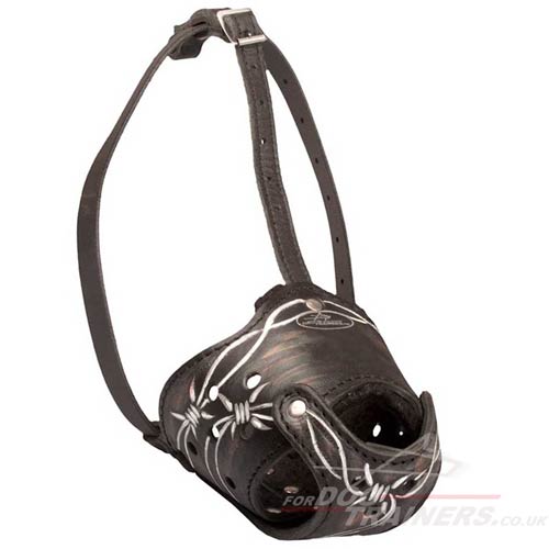 Leather Dog Muzzle for Everyday Use