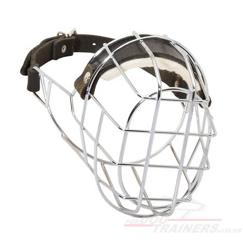 Wire dog muzzle