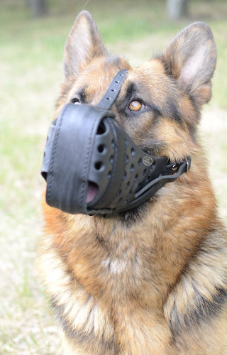 Leather dog muzzle