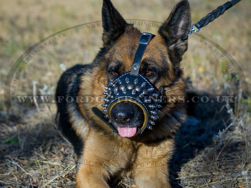 German Shepherd Dog Muzzle Loop