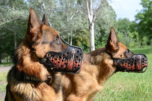 Outstanding Leather Basket Dog Muzzle for Large Breeds