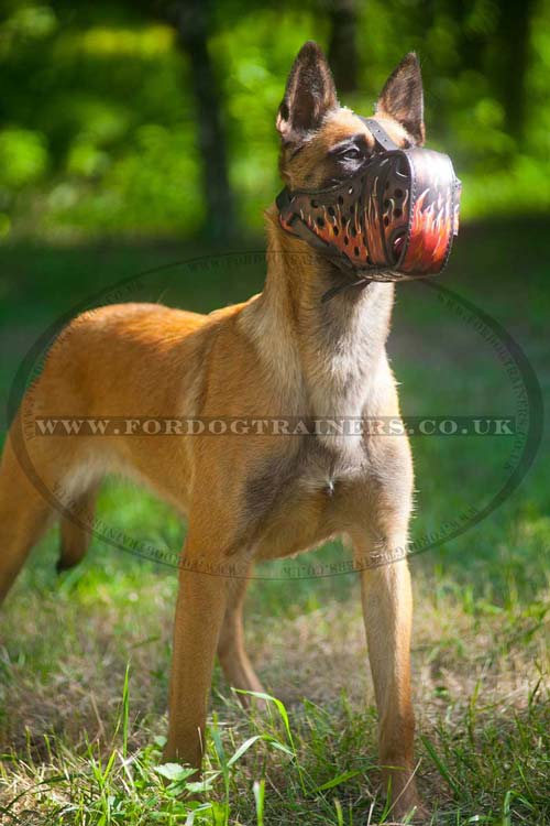 Outstanding Leather Basket Dog Muzzle for Large Breeds