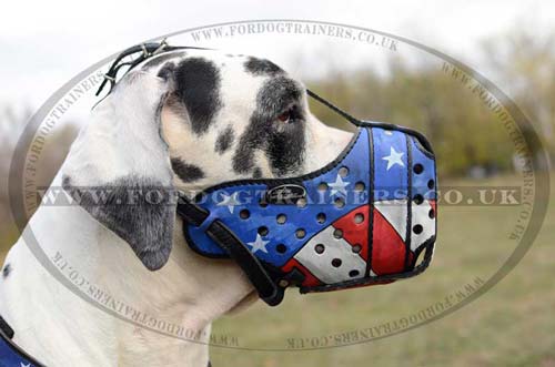 Leather Dog Muzzles for Sale