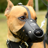 Leather dog muzzle