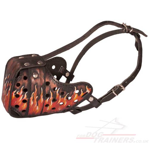 Doberman Muzzle