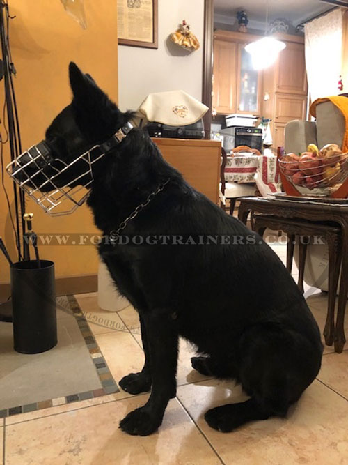 German Shepard Basket Muzzle