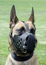 Dog Muzzle for Aggressive Dog