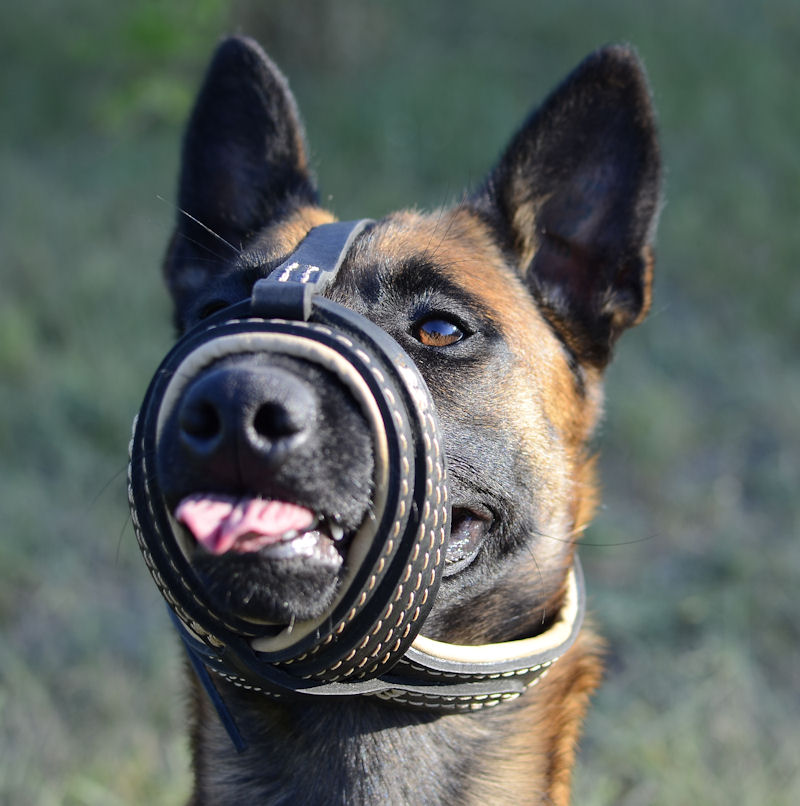 No Bark Leather Muzzle for Dogs Soft Leather Dog Muzzles UK £75.90