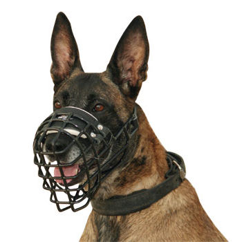 The
Best Universal Dog Muzzle